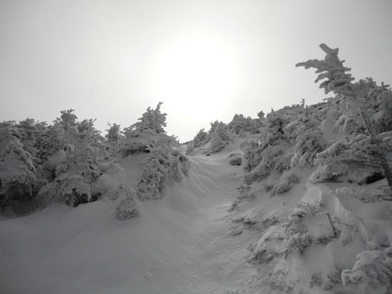 The Webster Cliff Trail near the summit of Mt. Pierce