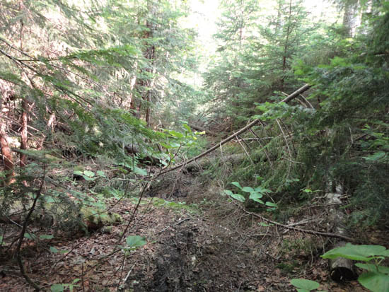 The alleged Mt. Clinton Trail