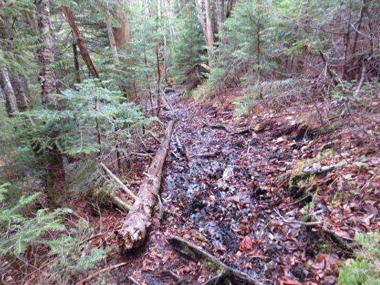 The enjoyable Dry River Cutoff