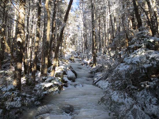 Looking down the icy Crawford Path