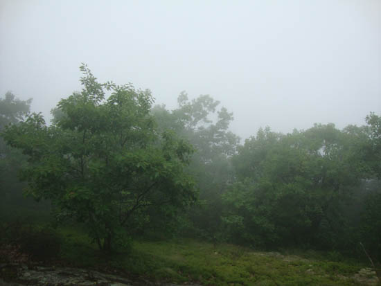 Fog as seen from the Mt. Prospect pre-summit viewpoint - Click to enlarge