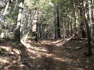 Looking up the trail to Mt. Prospect