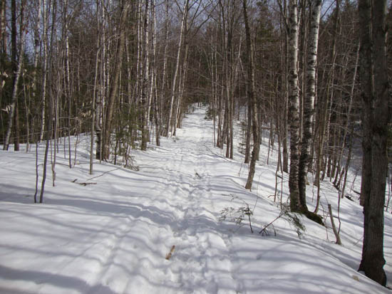 Looking up the trail to Mt. Prospect
