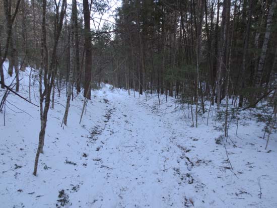 The trail to Mt. Prospect