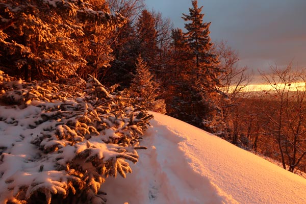 The trail to Mt. Prospect