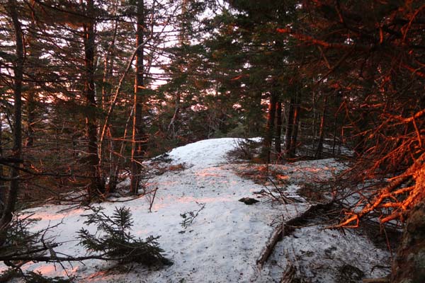 The trail to Mt. Prospect