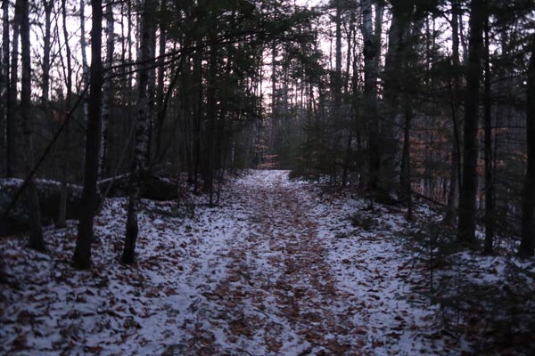 The trail to Mt. Prospect