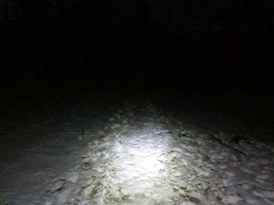The trailhead on Mt. Prospect Road