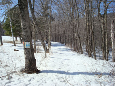 Mt. Roberts Trail trailhead near the horse barn
