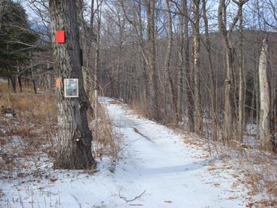 Mt. Roberts Trail trailhead near the horse barn