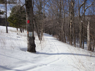 Mt. Roberts Trail trailhead near the horse barn