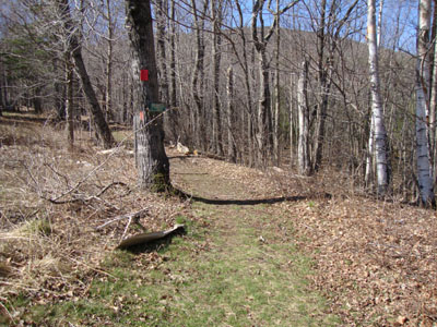 Mt. Roberts Trail trailhead near the horse barn