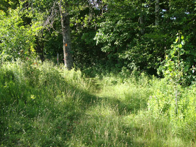Mt. Roberts Trail trailhead near the horse barn