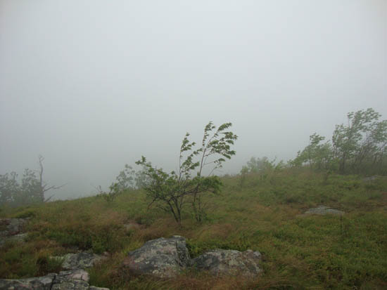 Wind and fog as seen from near the summit of Mt. Rowe - Click to enlarge