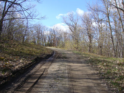 Looking up the Ridge Trail to Mt. Rowe