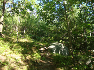 Looking up Yellow Trail on the way to Mt. Rowe