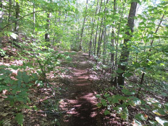 Ascending the west side of Mt. Rowe