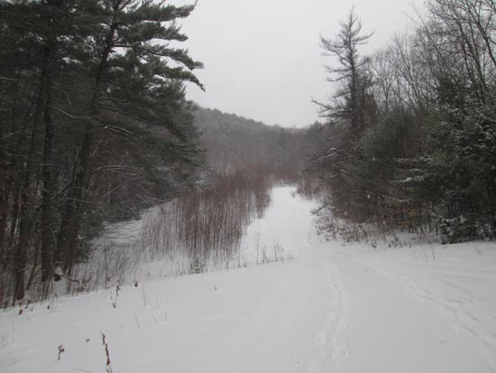 The Fletcher Hale Trail