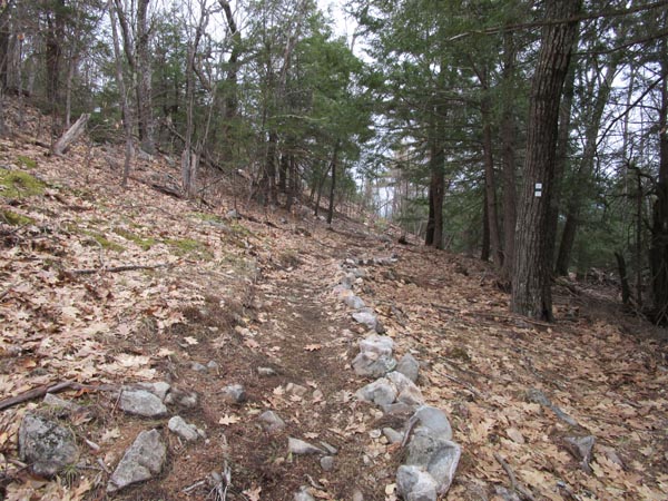 The Ridge Trail Road Bypass