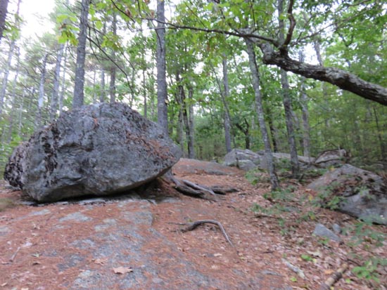 Looking up the Yellow Trail to Mt. Shannon