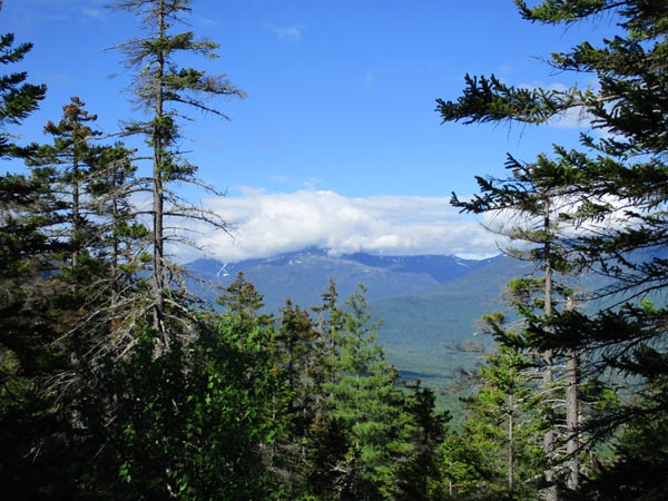Looking toward the Presidentials from the ledges below the Mt. Surprise summit - Click to enlarge