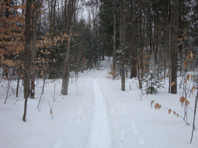 Looking up the Carter Moriah Trail on the way to Mt. Surprise