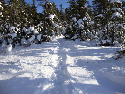 Looking up the Carter Moriah Trail on the way to Mt. Surprise