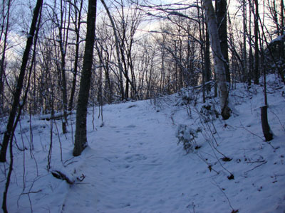 Looking up the Carter Moriah Trail on the way to Mt. Surprise