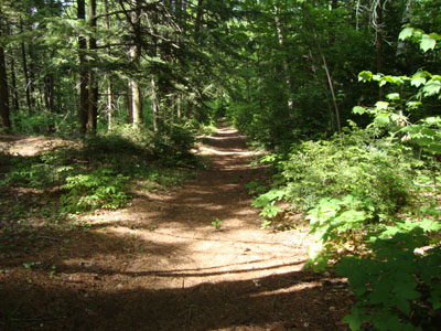 Looking down the Carter Moriah Trail on the way to Mt. Surprise