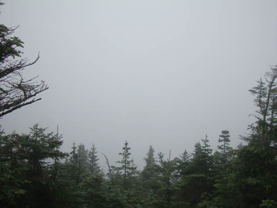 Fog - Click to enlarge