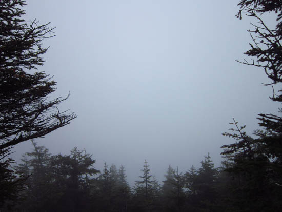 Fog on Mt. Tecumseh - Click to enlarge