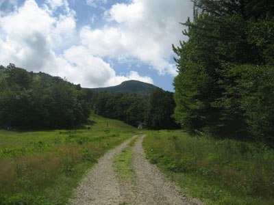 Looking up the Lower Periphery ski trail with the summit in the background