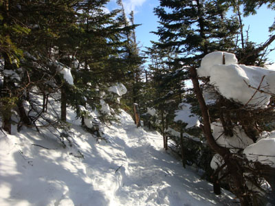Looking down Sosman Trail
