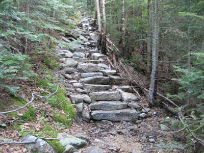 Looking up the Mt. Tecumseh Trail