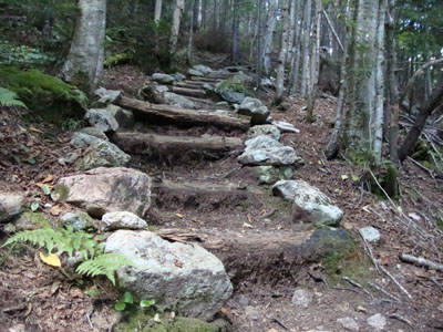 The Mt. Tecumseh Trail prior to the last water crossing