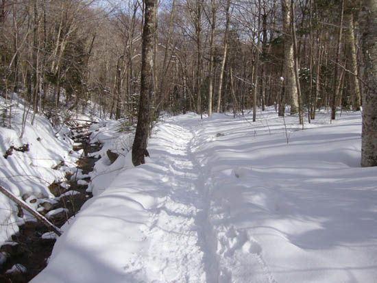 Looking down the Mt. Tecumseh Trail