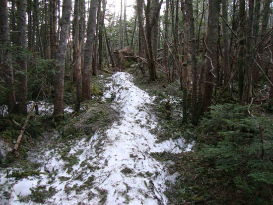 The Mt. Tecumseh Trail
