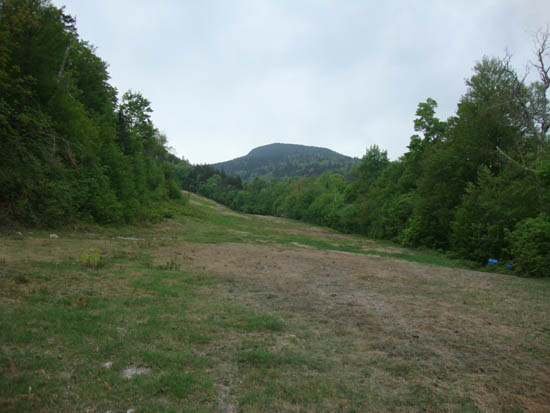 Looking up the ski trails at Mt. Tecumseh