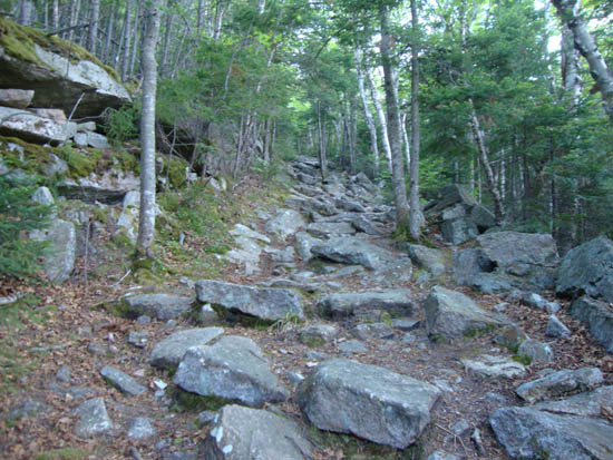 The Mt. Tecumseh Trail