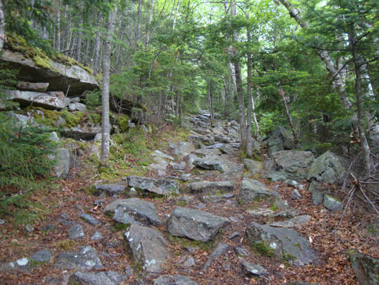 The Mt. Tecumseh Trail