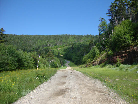 The access road to the top of the quad chairlift