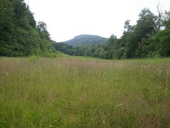 Looking up the Boneyard ski trail