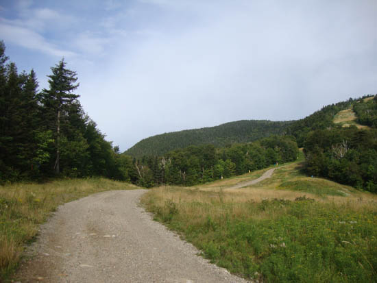 The looking up the access road