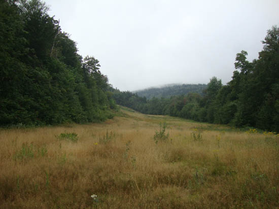 Looking up the ski trails