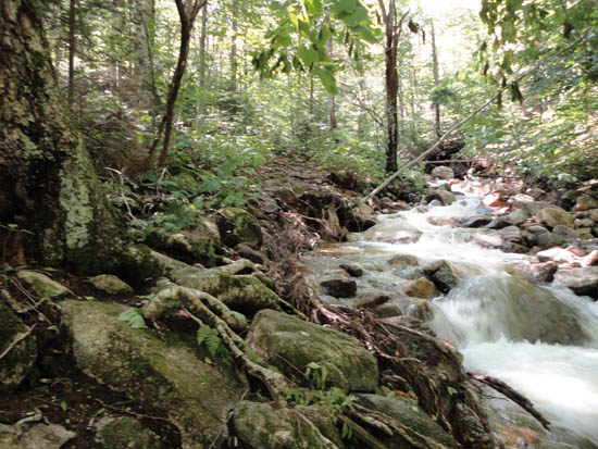 The washed out lower Mt. Tecumseh Trail