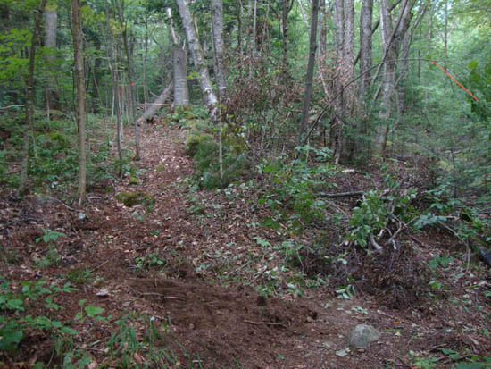 The new lower Mt. Tecumseh Trail