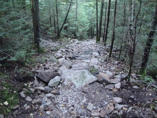 Looking down the Mt. Tecumseh Trail