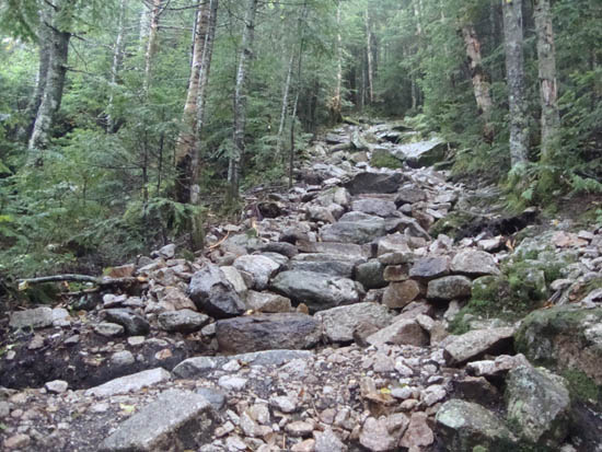 Looking down the Mt. Tecumseh Trail