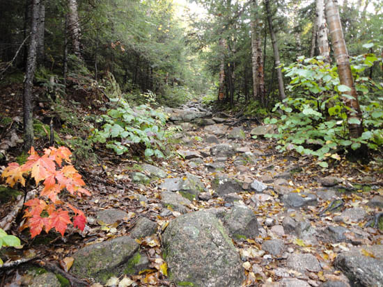 The Mt. Tecumseh Trail