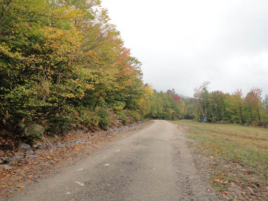 The looking up the access road